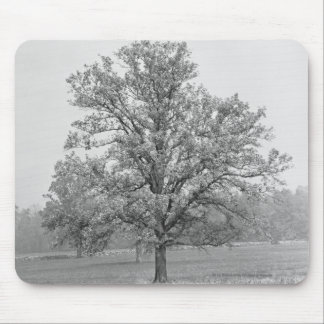 Single tree in field B&W Mouse Mat