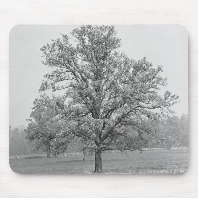 Single tree in field B&W Mouse Mat (Front)