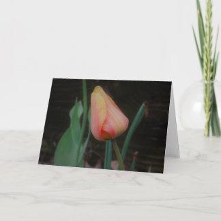 Single Tulip Note Card