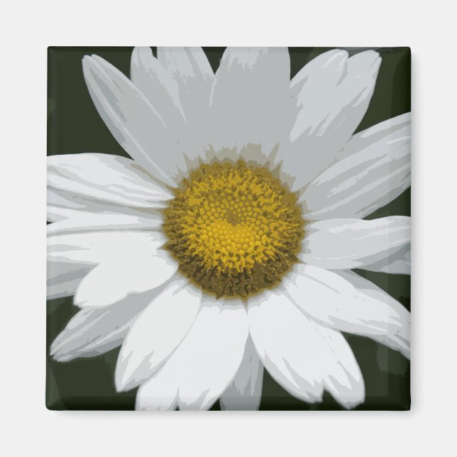 Single White Daisy Magnet (Front)