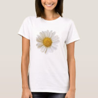 Single White Daisy