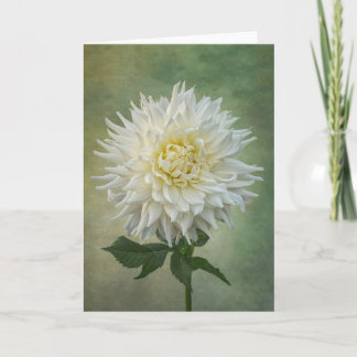 Single white flower card