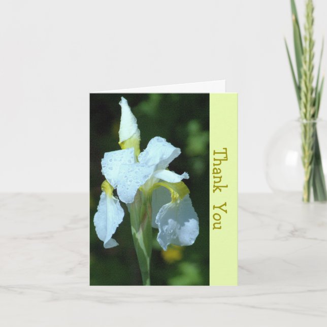 SINGLE WHITE IRIS WITH RAINDROPS CARD (Front)