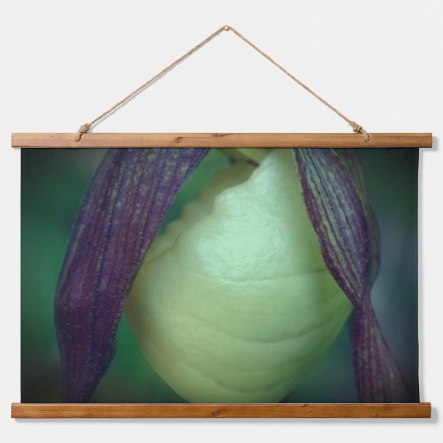 Single White Lady Slipper Orchid Flower Close Up  Hanging Tapestry (Front)
