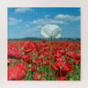 Single White Poppy in a Red Poppy Field Jigsaw Puzzle