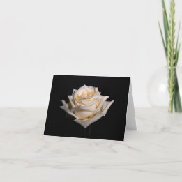 Single White Rose Card