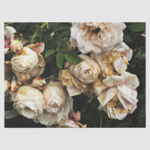 Single White Rose Tissue Paper