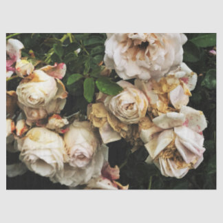 Single White Rose Tissue Paper