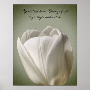 Single White Tulip Flower Create Your Own Text Poster