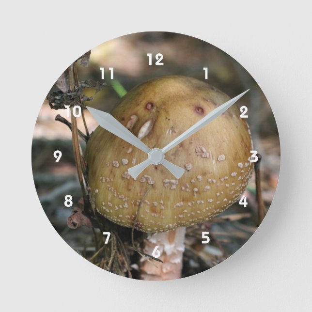 Single Wild Brown Mushroom Nature Round Clock (Front)