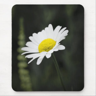 Single wild daisy washed out mouse mat