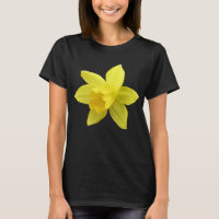 Single Yellow Daffodil Bloom