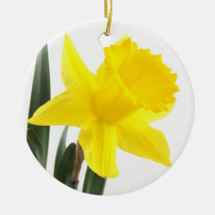 Single Yellow Narcissus Daffodil Ceramic Tree Decoration