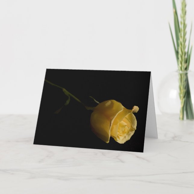 Single Yellow Rose - Note Card (Front)
