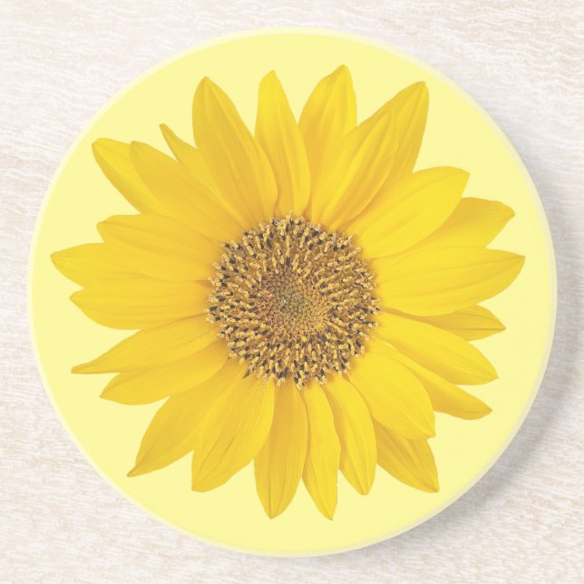 Single Yellow Sunflower on Light Yellow Coaster (Front)