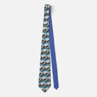 Sinking of the Titanic Magic Lantern Slide Tie