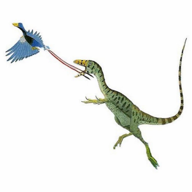 Sinosauropteryx Dinosaur Photo Sculpture Greg Paul (Front)