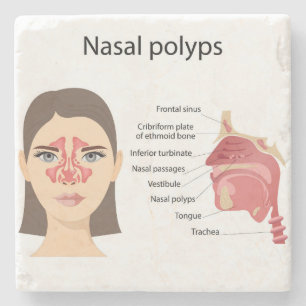 Sinuses on white background stone coaster