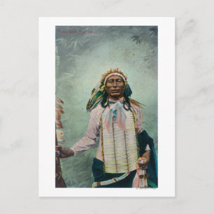 Sioux Chief Iron Tail Portrait Postcard
