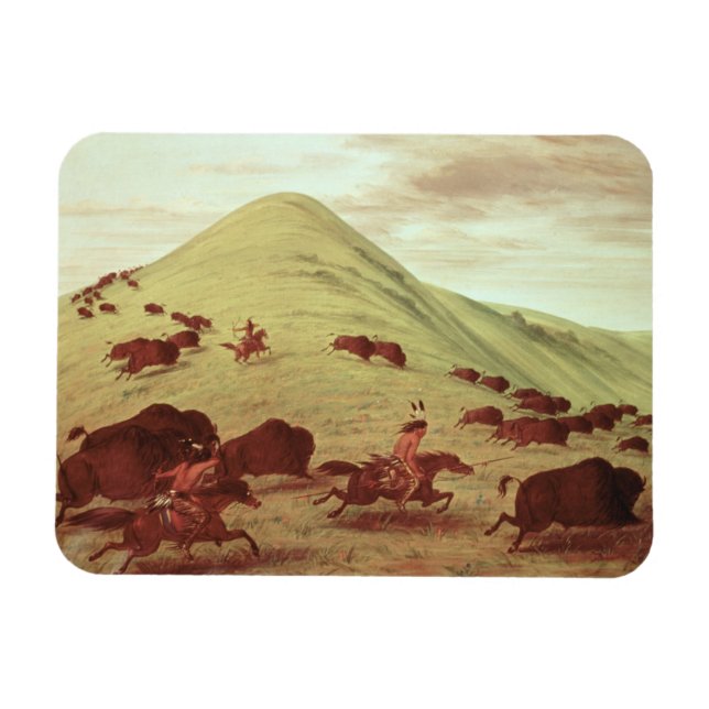 Sioux Indians hunting buffalo, 1835 (oil on canvas Magnet (Horizontal)