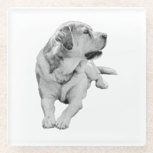 Sip Break, Steady Friend Glass Coaster