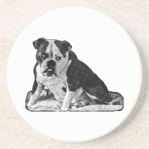 Sip Break, Tiny Spark Coaster