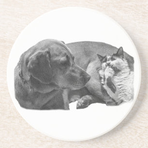 Sip Break with Pals Coaster