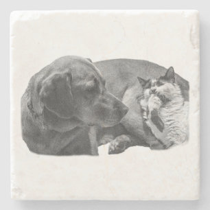 Sip Break with Pals Stone Coaster