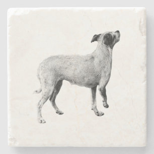 Sip Pause—Looking Up Stone Coaster
