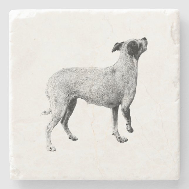 Sip Pause—Looking Up Stone Coaster (Front)