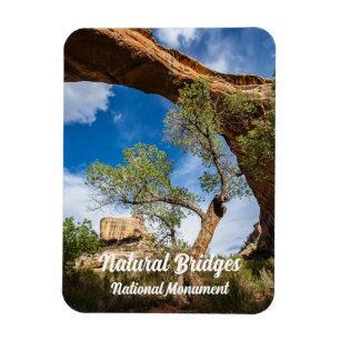 Sipapu Bridge, Natural Bridges National Monument Magnet