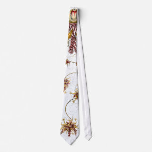 Siphonophorae Ernst Haeckel Fine Art Tie