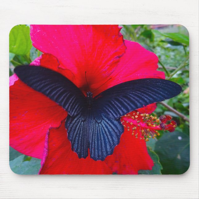 Sipping Sweetly - Butterfly Mousepad (Front)
