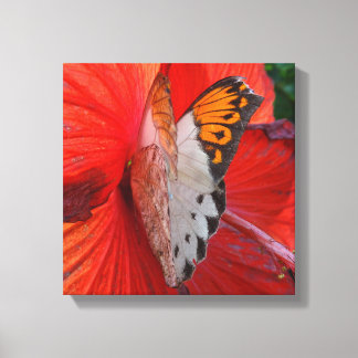 Sipping Sweetly Canvas Print