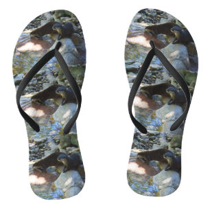 **"Sips by the Stream: Otters Drinking from River  Flip Flops
