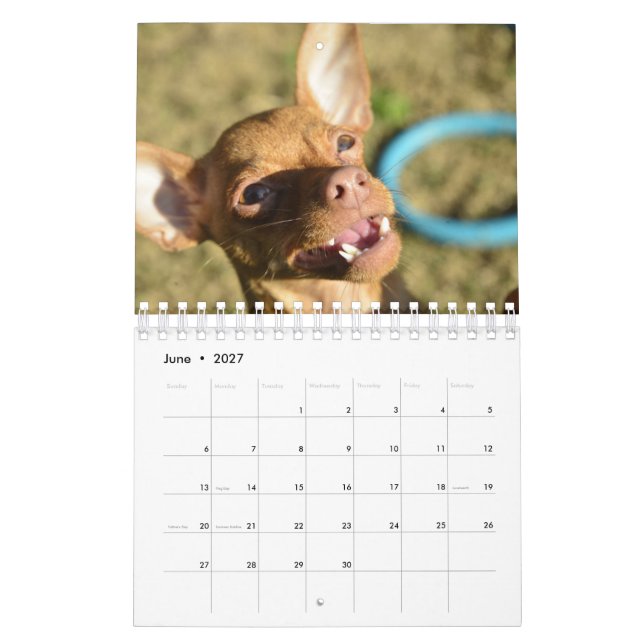 Sir Bardsley 2020 Wall Calendar (Jun 2027)