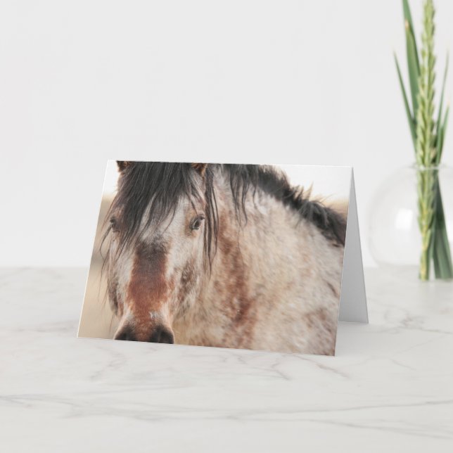 Sir Behr Blank Card  (Front)