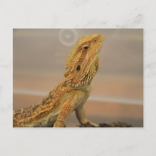 Sir Charles Posing Postcard