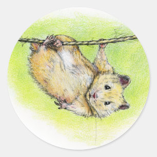 Sir Ham Classic Round Sticker