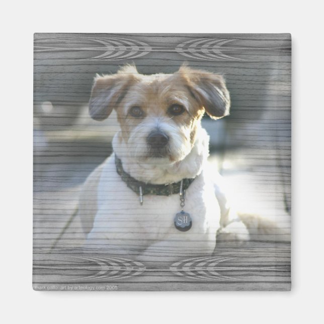 Sir Henry Magnet (Front)