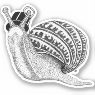 Sir Peter the Snail