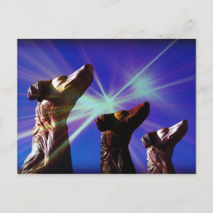 Sirius Dog Stars Postcard