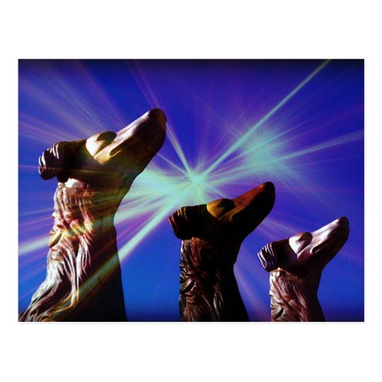 Sirius Dog Stars Postcard