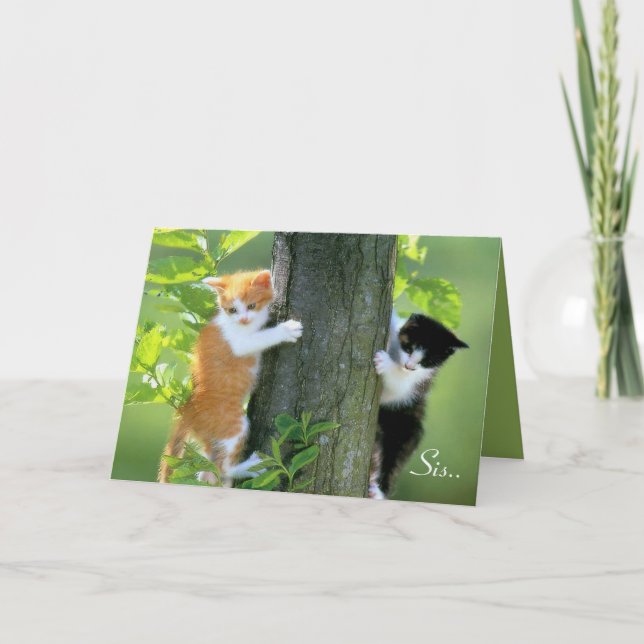 Sis, Thanks For Being There.. Thank You Card (Front)