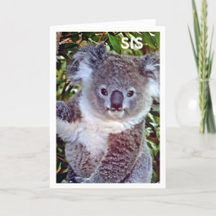 SIS THIS "KOALA BIRTHDAY CARD IS JUST FOR "YOU!"