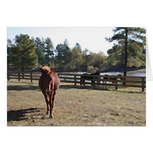 Sissy Mule Card (Front Horizontal)