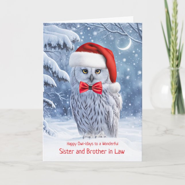 Sister and Brother in Law Owl Happy Holidays Card (Front)