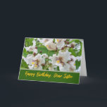 Sister Birthday Add Your Text with Catalpa Blooms Card<br><div class="desc">Catalpa tree blossoms decorate the cover of this birthday card for a sister. Add your own text to the cover as you like. The blooms are like beautiful orchids. Perfect for a spring birthday. Art,  image,  and verse copyright © Shoaff Ballanger Studios,  2025.</div>