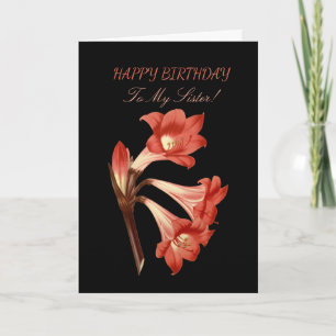 Sister Birthday Coral Belladonna Lily Card
