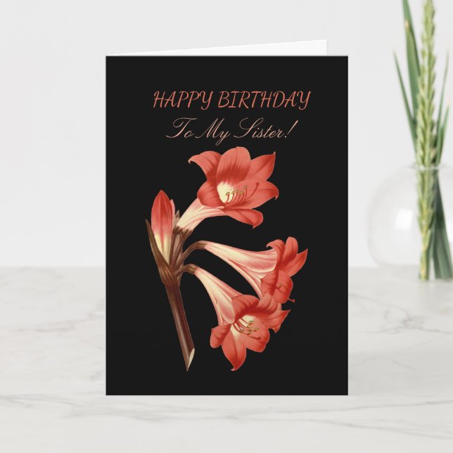 Sister Birthday Coral Belladonna Lily  Card (Front)